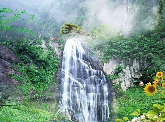 春雨直播app